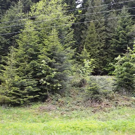 Садиба Skhidnytsia